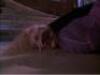Lot #196 - DEATH BECOMES HER (1992) - Madeline Ashton's (Meryl Streep) Effects Spin Around Head Rig - 10