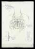 Lot #200 - DEATH BECOMES HER (1992) - Set of Hand-Drawn John Bell Pin Designs - 3