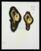 Lot #200 - DEATH BECOMES HER (1992) - Set of Hand-Drawn John Bell Pin Designs - 8