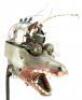 Lot #207 - DINOSAURS (T.V. SERIES, 1991-1994) - Robbie Sinclair's (Jason Willinger) Animatronic Head - 3