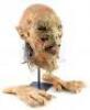 Lot #211 - DOCTOR WHO: THE END OF THE WORLD (2005) - Ambassador from the City State of Binding Light's Head and Hands - 2