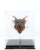 Lot #215 - DRAGONHEART (1996) - Phil Tippett Collection: Draco (Sean Connery) Head Maquette - 2