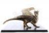 Lot #217 - DRAGONHEART (1996) - Phil Tippett Collection: Draco (Sean Connery) Large Winged Maquette