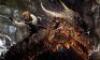 Lot #219 - DRAGONSLAYER (1981) - Phil Tippett Collection: Vermithrax Pejorative Dragon Scale - 6
