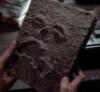 Lot #235 - EVIL DEAD, THE (1981)/EVIL DEAD II (1987) - Commemorative Necronomicon Prints from Original Prop Creator Tom Sullivan - 10