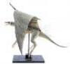 Lot #236 - EVOLUTION (2001) - Phil Tippett Collection: Dragon Maquette Display with Wings - 5