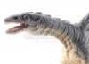 Lot #236 - EVOLUTION (2001) - Phil Tippett Collection: Dragon Maquette Display with Wings - 6