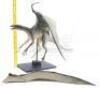 Lot #236 - EVOLUTION (2001) - Phil Tippett Collection: Dragon Maquette Display with Wings - 10