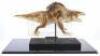 Lot #237 - EVOLUTION (2001) - Phil Tippett Collection: Typhibian Maquette - 5
