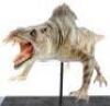 Lot #237 - EVOLUTION (2001) - Phil Tippett Collection: Typhibian Maquette - 6