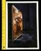Lot #276 - GHOSTBUSTERS 2 (1989) - Hand-Painted Vigo the Carpathian Illustration - 4