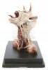 Lot #300 - GOLDEN CHILD, THE (1986) - Phil Tippett Collection: Sardo Numspa (Charles Dance) Demon Maquette - 5