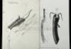 Lot #308 - THE GREATEST STORY EVER TOLD (1965) - Production Binder and Hand-Drawn Illustrations - 7