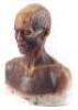 Lot #352 - I AM LEGEND (UNPRODUCED, RIDLEY SCOTT) - Set of Three Makeup Test Heads - 4