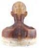 Lot #352 - I AM LEGEND (UNPRODUCED, RIDLEY SCOTT) - Set of Three Makeup Test Heads - 5
