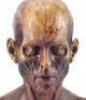 Lot #352 - I AM LEGEND (UNPRODUCED, RIDLEY SCOTT) - Set of Three Makeup Test Heads - 6