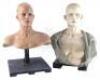 Lot #353 - I AM LEGEND (UNPRODUCED, RIDLEY SCOTT) - Pair of Makeup Test Heads