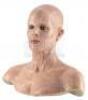 Lot #353 - I AM LEGEND (UNPRODUCED, RIDLEY SCOTT) - Pair of Makeup Test Heads - 3