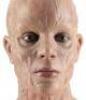 Lot #353 - I AM LEGEND (UNPRODUCED, RIDLEY SCOTT) - Pair of Makeup Test Heads - 5
