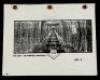 Lot #362 - INDIANA JONES AND THE TEMPLE OF DOOM (1984) - Shanghai Street Lantern, Storyboards, and Various Production Ephemera - 10