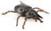 Lot #363 - INDIANA JONES AND THE TEMPLE OF DOOM (1984) - Pankot Palace Banquet Beetle