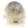 Lot #365 - INDIANA JONES AND THE TEMPLE OF DOOM (1984) - Chilled Monkey Brain Head - 4
