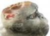 Lot #365 - INDIANA JONES AND THE TEMPLE OF DOOM (1984) - Chilled Monkey Brain Head - 6