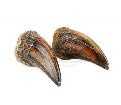Lot #422 - JURASSIC PARK (1993) - Pair of Tyrannosaurus Rex Claws