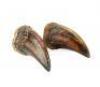 Lot #422 - JURASSIC PARK (1993) - Pair of Tyrannosaurus Rex Claws