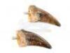 Lot #422 - JURASSIC PARK (1993) - Pair of Tyrannosaurus Rex Claws - 2