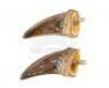 Lot #422 - JURASSIC PARK (1993) - Pair of Tyrannosaurus Rex Claws - 3