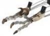 Lot #424 - JURASSIC PARK (1993) - Cable-Controlled Velociraptor Puppet Feet With Claws - 8