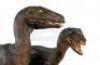 Lot #425 - JURASSIC PARK (1993) - Phil Tippett Collection: Pair of Video Animatics Velociraptor Stop-Motion Puppets - 7