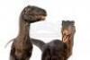 Lot #425 - JURASSIC PARK (1993) - Phil Tippett Collection: Pair of Video Animatics Velociraptor Stop-Motion Puppets - 14