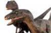Lot #425 - JURASSIC PARK (1993) - Phil Tippett Collection: Pair of Video Animatics Velociraptor Stop-Motion Puppets - 19