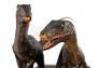 Lot #425 - JURASSIC PARK (1993) - Phil Tippett Collection: Pair of Video Animatics Velociraptor Stop-Motion Puppets - 21