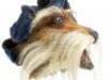 Lot #436 - LABYRINTH (1986) - Sir Didymus Puppet Head - 5
