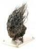 Lot #437 - LADY IN THE WATER (2006) - Animatronic Tartutic Creature Head - 3