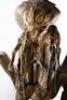 Lot #485 - MEN IN BLACK (1997) - Full-Size Edgar Bug Animatronic Alien - 21