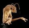 Lot #486 - MEN IN BLACK II (2002) - Oversized Worm Guy Animatronic Insert Puppet - 12