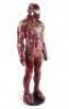 Lot #510 - PACIFIC RIM (2013) - Crimson Typhoon Jaeger Pilot Drivesuit Display - 2
