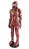 Lot #510 - PACIFIC RIM (2013) - Crimson Typhoon Jaeger Pilot Drivesuit Display - 3