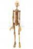 Lot #519 - PINOCCHIO (UNPRODUCED) - Phil Tippett Collection: Pinocchio Puppet