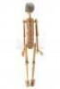 Lot #519 - PINOCCHIO (UNPRODUCED) - Phil Tippett Collection: Pinocchio Puppet - 4