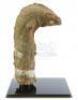Lot #520 - PIRANHA (1978) - Phil Tippett Collection: Eel in Tank Puppet Display - 6