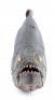 Lot #521 - PIRANHA (1978) - Phil Tippett Collection: Piranha Puppet - 2