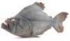 Lot #521 - PIRANHA (1978) - Phil Tippett Collection: Piranha Puppet - 3