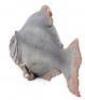 Lot #521 - PIRANHA (1978) - Phil Tippett Collection: Piranha Puppet - 5