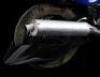 Lot #531 - POWER RANGERS TIME FORCE(T.V. SERIES, 2001) - Full-Size Blue Vector Cycle - 9