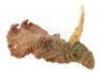 Lot #537 - PREHISTORIC BEAST (1985) - Phil Tippett Collection: Single-Horned Dinosaur Puppet Head